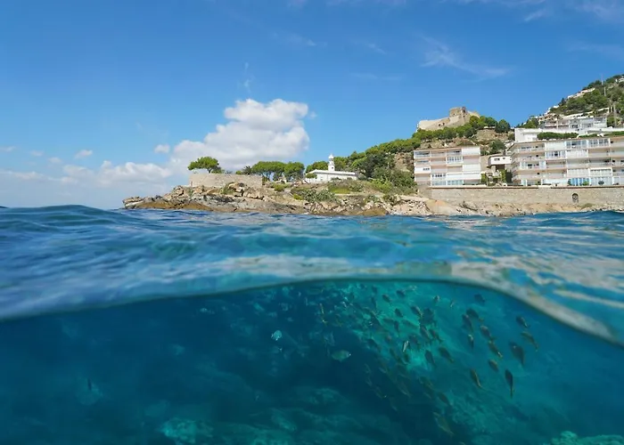 דירה Olas 2b - Immo Barneda רוזס